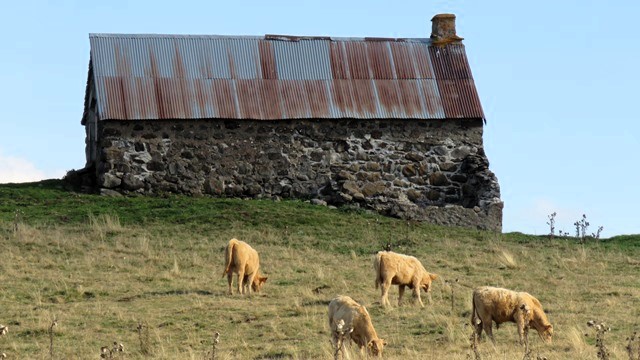 Carousel Gite Issoire Pardines